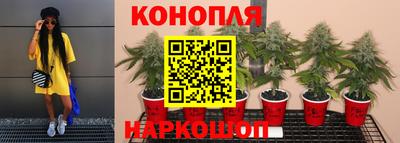 прущие крисы Усть-Илимск