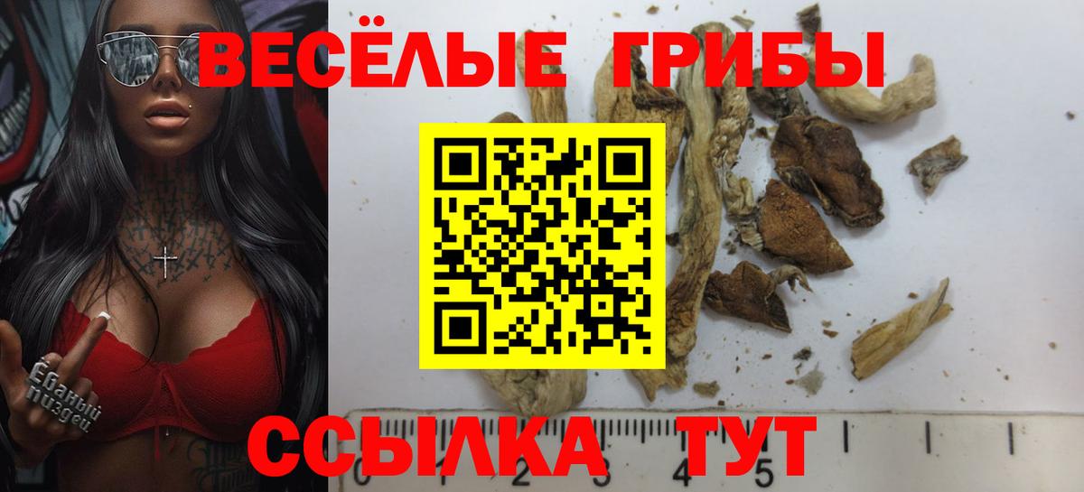Алексин  Галлюциногенные грибы ЛСД  Вход с VPN  Галлюциногенные грибы Psilocybe 