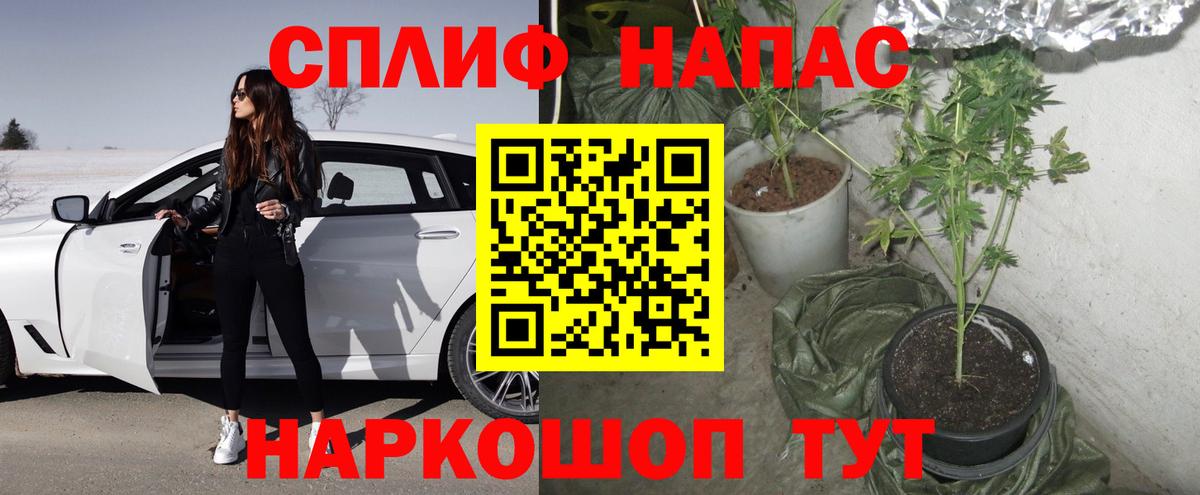 Марихуана семена  Вход с VPN  МАРИХУАНА Bruce Banner  Алексин 